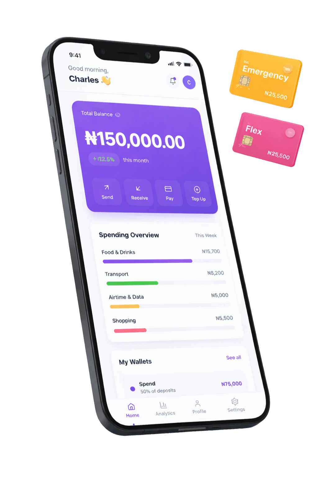 PocketWise App Interface